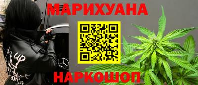 прущие крисы Гусев