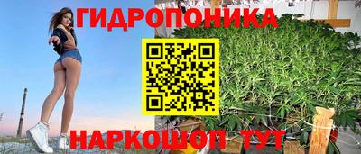 прущие крисы Гусев