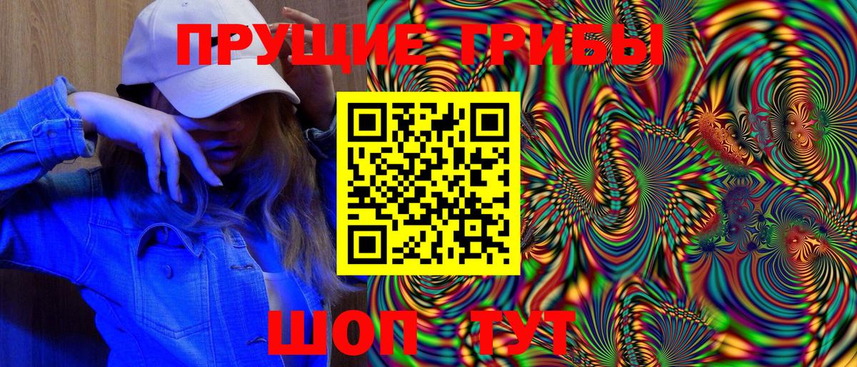 Псилоцибиновые грибы Cubensis Евпатория