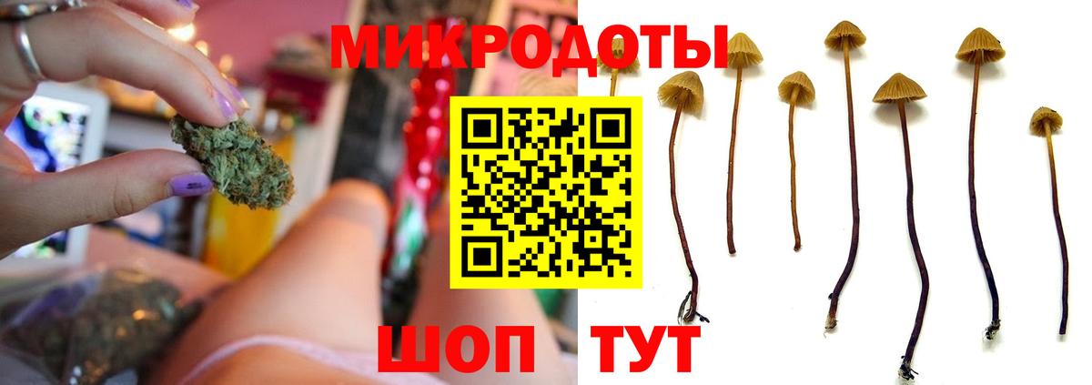 Евпатория  Псилоцибиновые грибы мицелий  Вход с VPN  Галлюциногенные грибы Psilocybine cubensis 